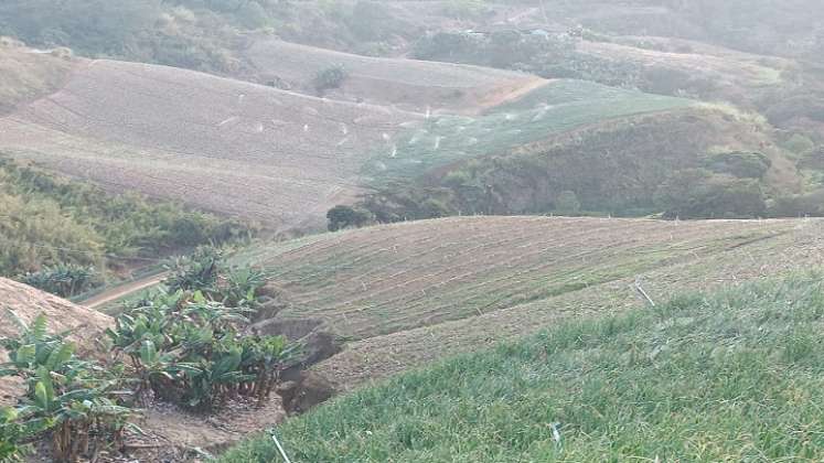 La crisis alimentaria en los campos de la zona del Catatumbo se puede mitigar con energías limpias./ Foto: Cortesía.