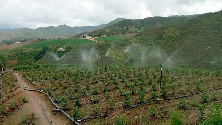 La crisis alimentaria en los campos de la zona del Catatumbo se puede mitigar con energías limpias./ Foto: Cortesía.