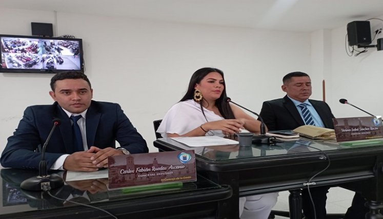 Las mujeres se unieron en el Concejo para crear la Comisión legal de la equidad de la mujer./ Foto: Cortesía