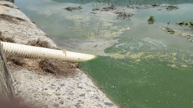 Es urgente la intervención de la laguna de oxidación para el tratamiento de aguas residuales en Ábrego./ Foto: Archivo