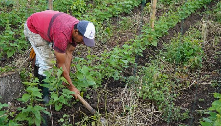 Las propuestas ganadoras se conocerán en el mes de mayo.  / Fotos: Cortesía / La Opinión 