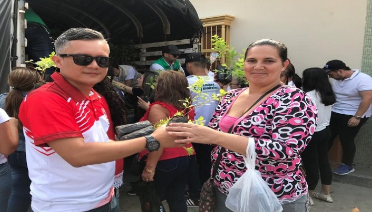 Siete mil árboles serán entregados el Domingo de Ramos en Ocaña./Foto Cortesía/La Opinión.