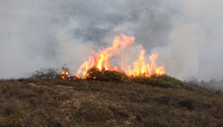 Una gran polémica se ha generado en Ábrego por la falta de convenio con el Cuerpo de Bomberos Voluntarios./ Foto cortesía