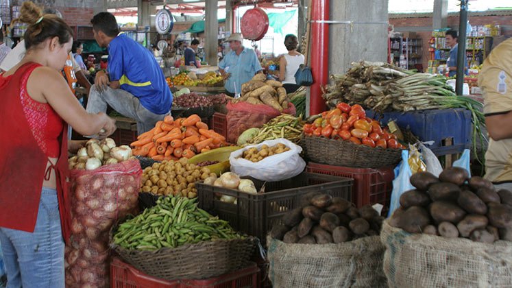 Economistas estiman que los precios de los alimentos continuarán en alza, lo que hará que sea más lenta la reducción de la inflación anual./ Foto Archivo