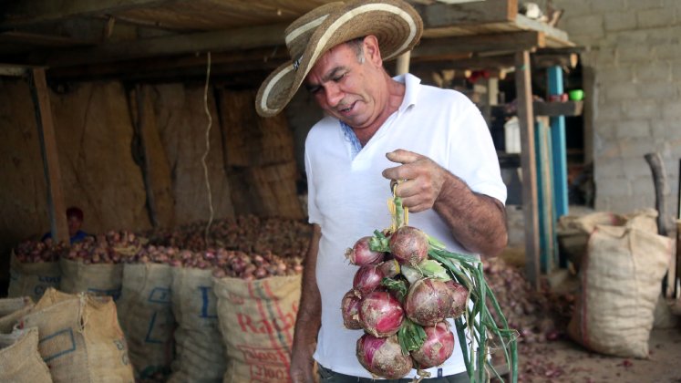 CULTIVOS EN EL TARRITA