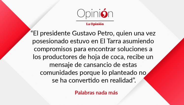 Palabras nada más