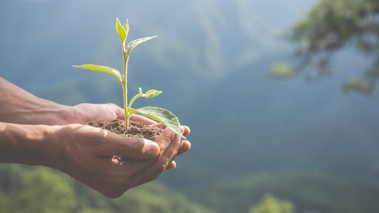 procesos sancionatorios ambientales en Colombia