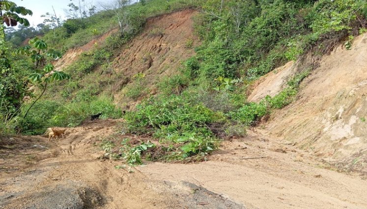 Las fuertes lluvias ocasionan desastres en zona rural de Hacarí./Foto cortesía.