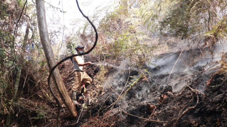 Importantes pérdidas de ecosistema se registran en Norte de Santander por cuenta de  más de 100 incendios. 