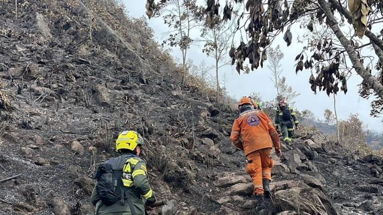 Decenas de hombres de Defensa Civil y personal especializado han participado en la erradicación de los incendios. 