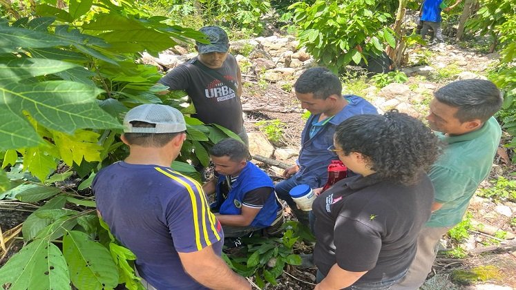 Difícil se torna la situación vivida en la zona del Catatumbo ante la arremetida de la guerrilla./ Foto cortesía: La Opinión.