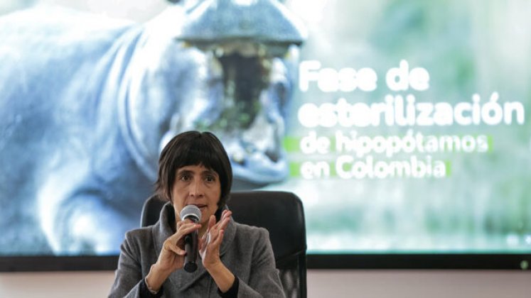 Susana Muhamad, Minambiente 