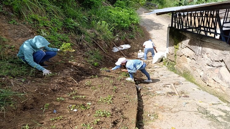 De la mano de las alcaldías adelantan las brigadas de capacitación, recolección y almacenamiento temporal en aras del saneamiento básico ambiental./ Foto: Cortesía / La Opinión