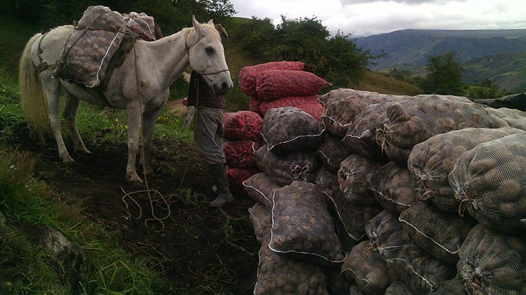 El paro del transporte de carga tiene preocupados a alcaldes de municpios agrícolas./ Foto Archivo