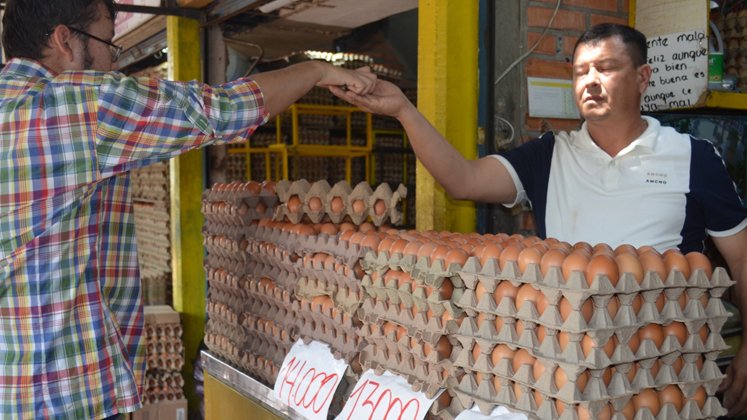 Avícolas afectadas por paro camionero, esto sucede con los huevos en Cúcuta