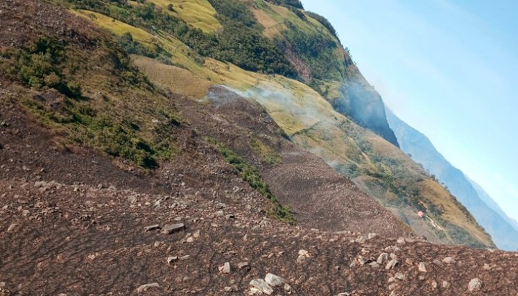 Incendio Forestal en La Uchema