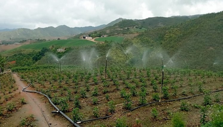 Los concejales del municipio de Ocaña hundieron la iniciativa encaminada a aliviar el pago de sobretasa del alumbrado público en el sector rural./ Foto cortesía: La Opinión.