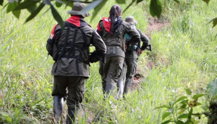 Tras las fallidas negociaciones con el Ejército de Liberación Nacional (Eln) en Norte de Santander se ha presentado una creciente oleada de violencia y una disputa por territorio. Tras las fallidas negociaciones con el Ejército de Liberación Nacional (Eln) en Norte de Santander se ha presentado una creciente oleada de violencia y una disputa por territorio.