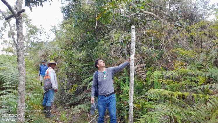 En Ocaña se adelanta un diagnóstico para determinar el estado de las reservas forestales para la conservación de los recursos naturales.