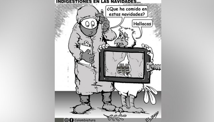 Caricatura del domingo 29 de diciembre del 2024