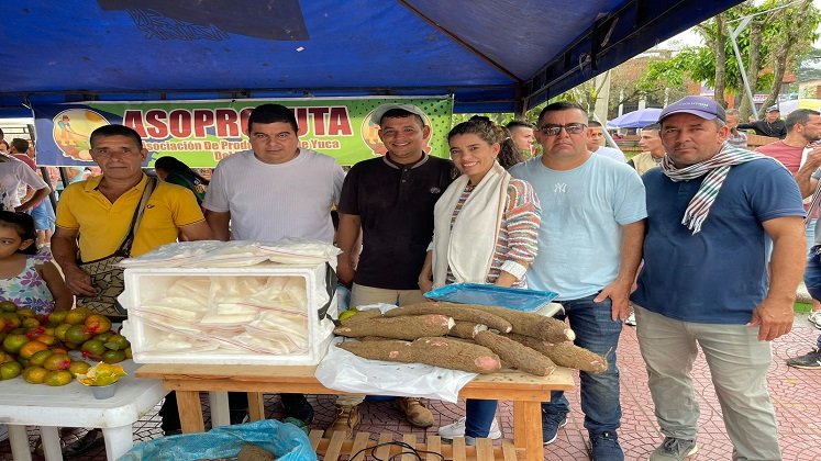 Un paso trascendental da los cultivadores de yuca con los procesos industriales para conquistar mercados.