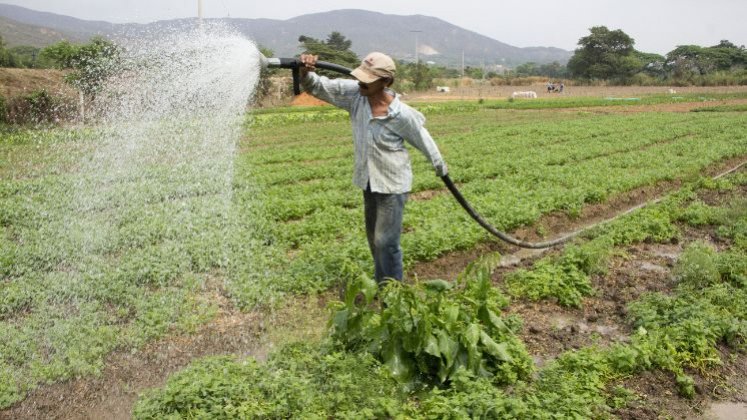 Las cabañuelas fomentan una conexión más estrecha entre los agricultores y su entorno natural.