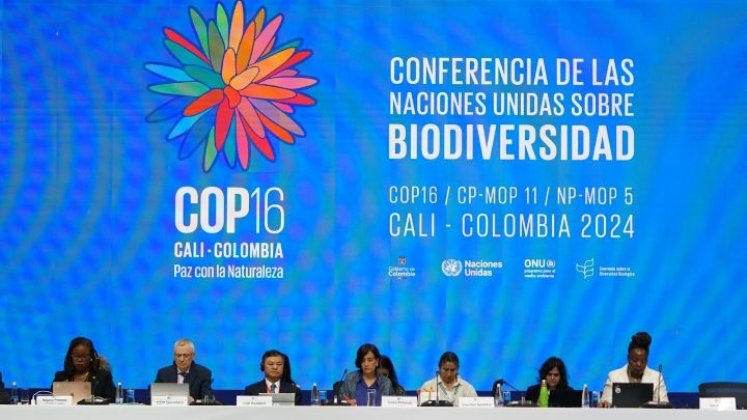 La cumbre albergó a líderes ambientales de todo el mundo, donde se dialogó sobre los retos y desafíos en materia de biodiversidad. / Foto: Archivo La Opinión.