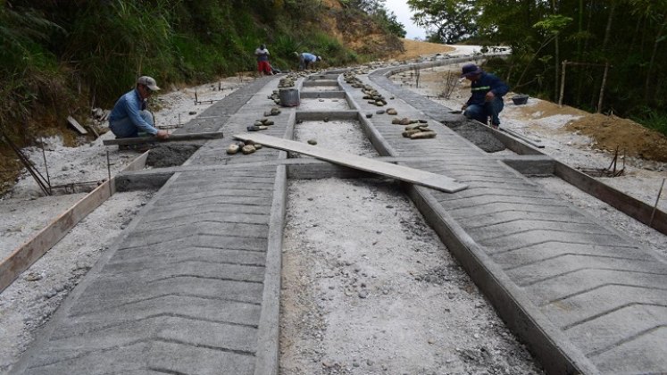 En aras de mejorar la movilidad y estimular el turismo ecológico se construye la ruta del café.