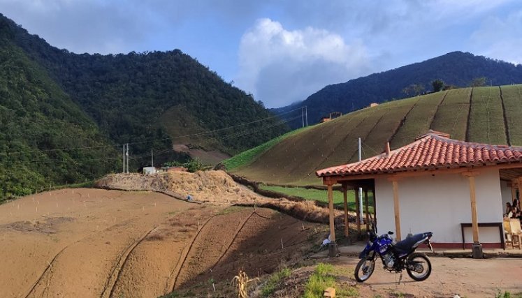 Los cebolleros de la provincia de Ocaña y zona del Catatumbo reclaman salvaguardar el producto en tiempo de cosecha.