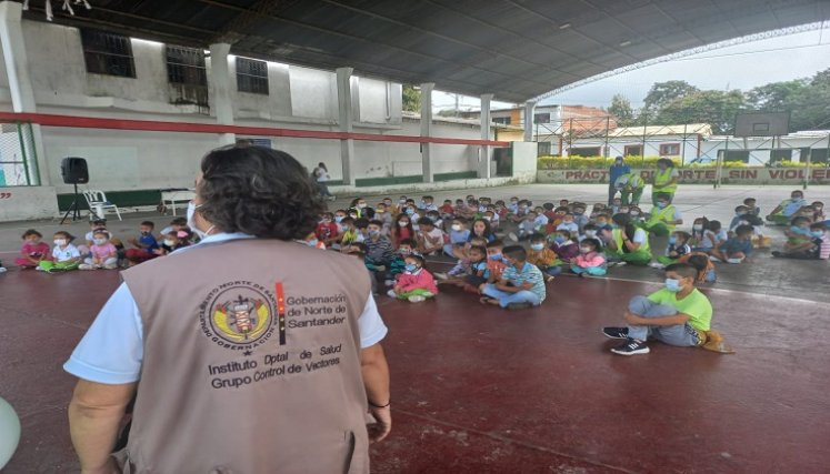 El Instituto Departamental de Salud declara la lucha frontal en contra del mosquito transmisor del dengue.