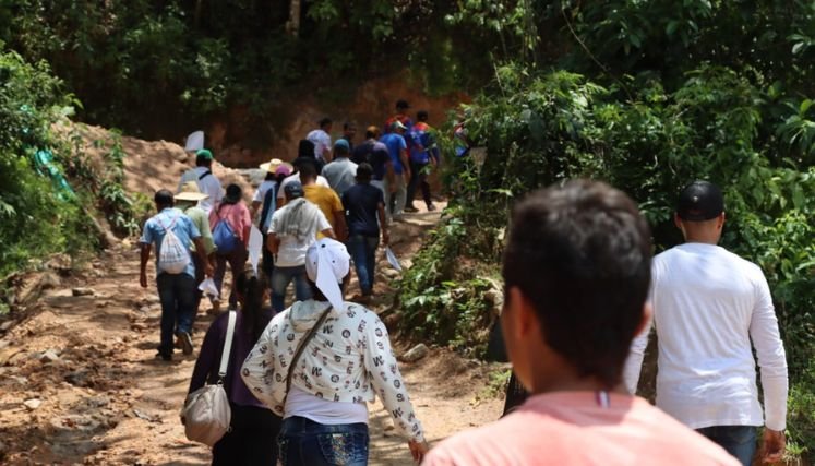 En el Catatumbo hierve el conflicto armado donde los campesinos huyen del fuego cruzado.