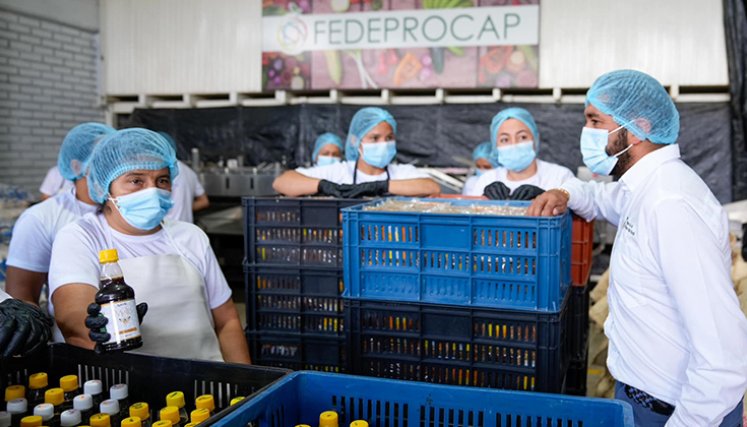 Productores del Catatumbo. / Foto Cortesía