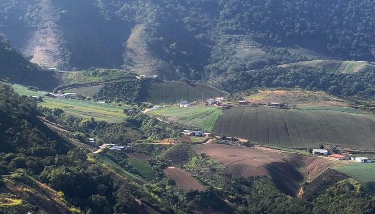 El plan Catatumbo se pone en marcha con la formalización de la propiedad campesina.