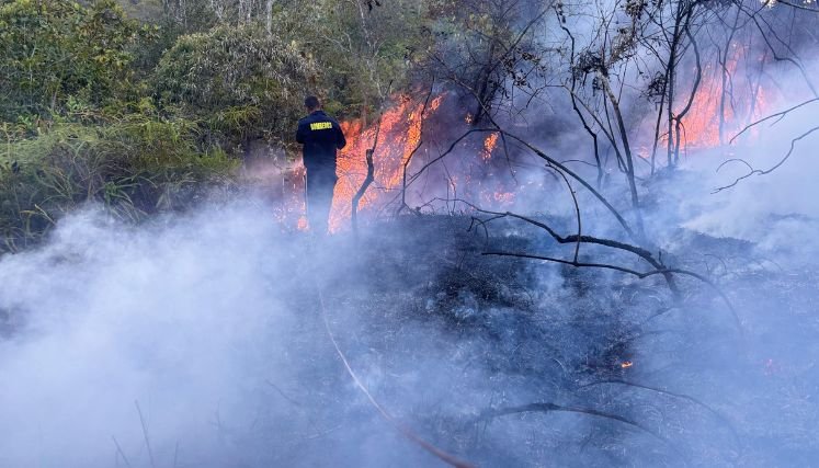 Autoridades ambientales advierten sobre las consecuencias de los incendios forestales. / Foto: Cortesía