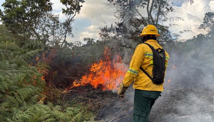 Autoridades ambientales advierten sobre las consecuencias de los incendios forestales. / Foto: Cortesía