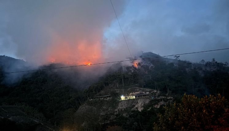 Autoridades ambientales advierten sobre las consecuencias de los incendios forestales. / Foto: Cortesía