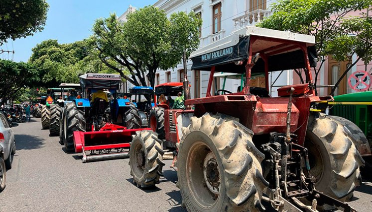 Paro nacional de arroceros en Norte de Santander. / Foto Carlos Eduardo Ramírez-La Opinión