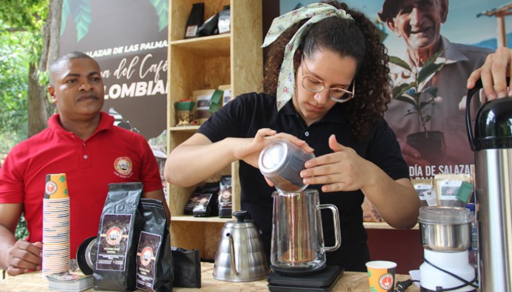 Café de Norte de Santander. / Foto Cortesía