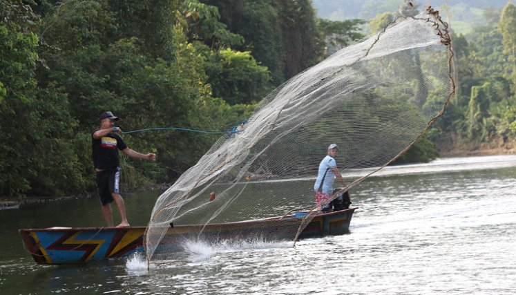 Río Catatumbo  a la altura del corregimiento de La Gabarra