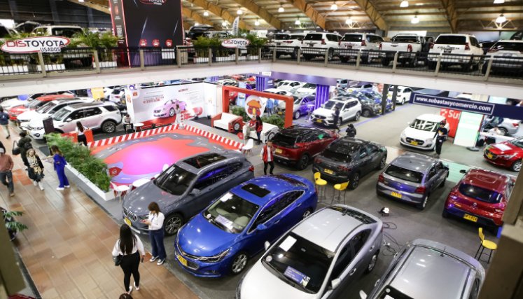 Carros. / Foto: Cortesía.