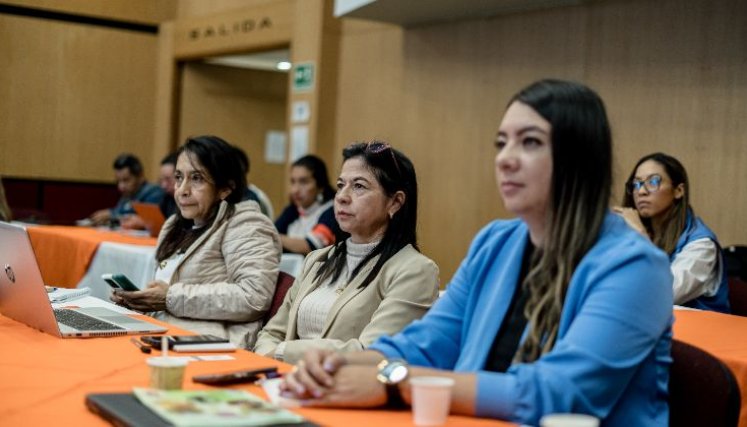 ONU-DIPLOMADO