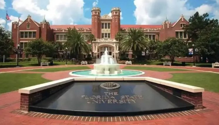 Universidad de Florida. 