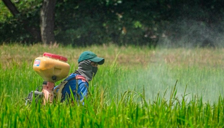 Productores del campo. / Foto Archivo