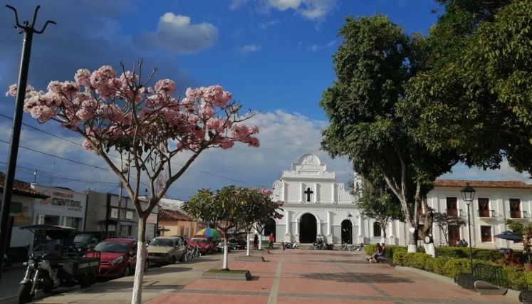 Una polémica se ha generado en el municipio de Ábrego en torno a la exclusión de los niños del sector rural del transporte escolar.