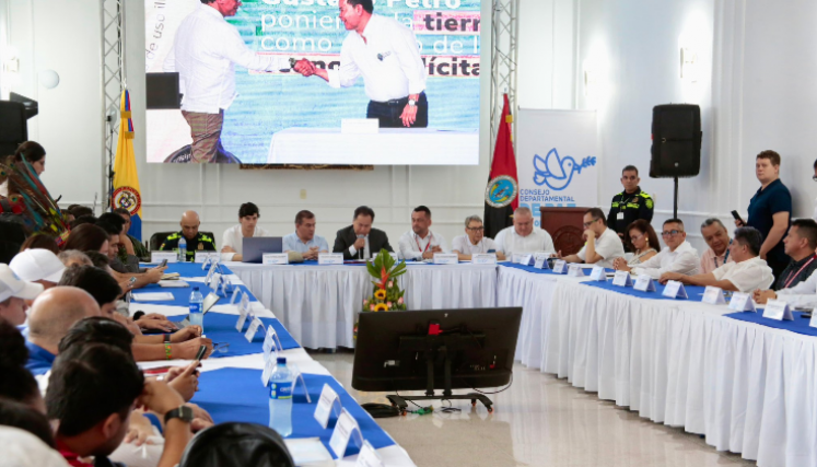 Consejo Departamental de Paz. 