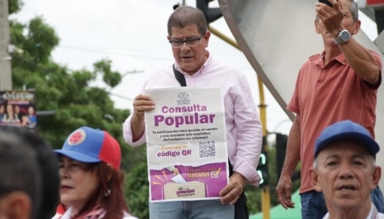 Consulta popular- marchas