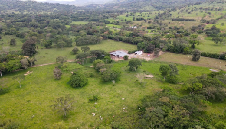 Nuevo lote donde se reubicará a firmantes del ETCR Caño Indio.