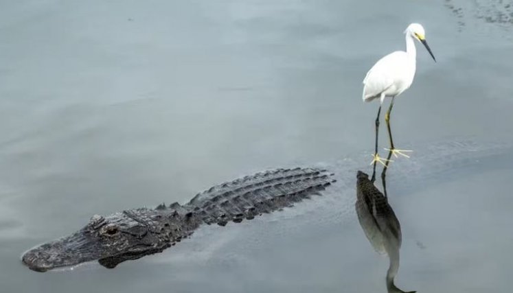 Florida. 