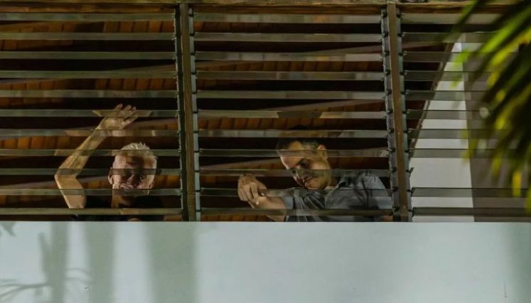 Liberados. 
