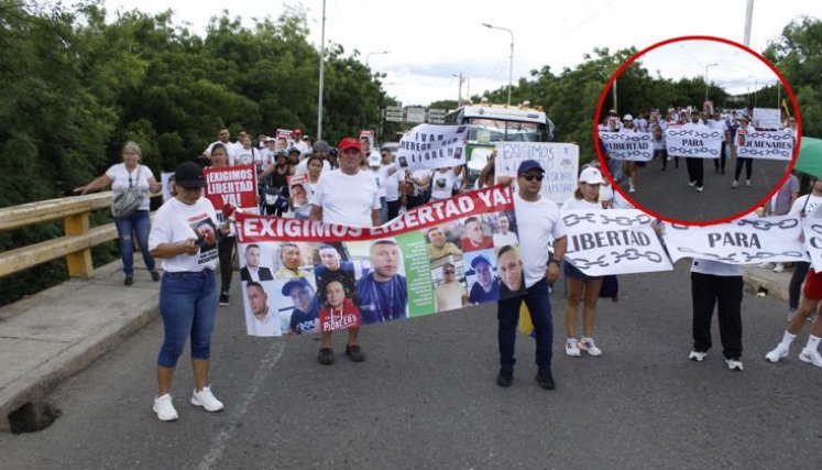Libertad para colmenares